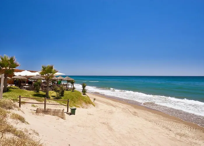 Oleholidays 305 Romana Playa Primera Linea Playa